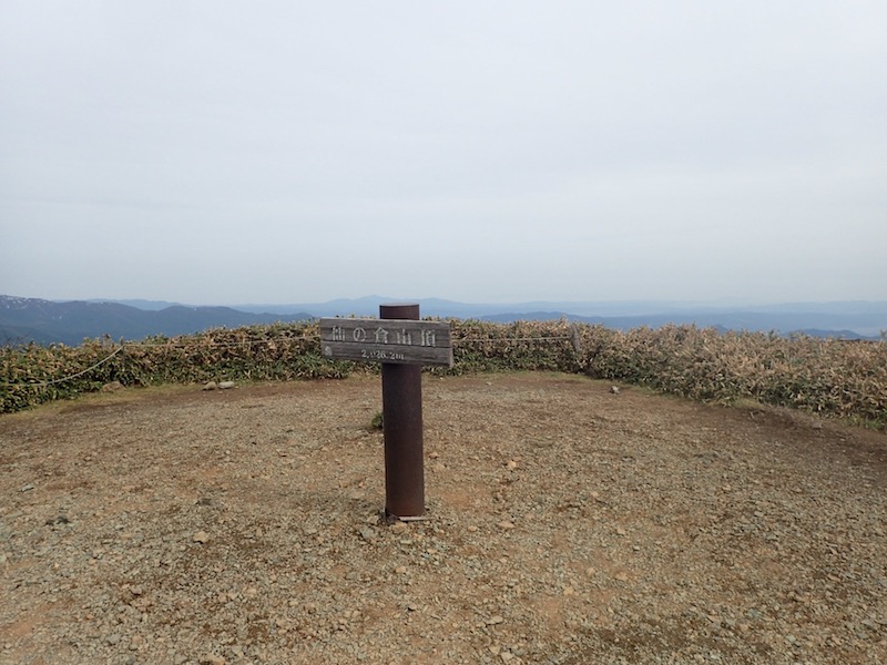 仙ノ倉山の山頂